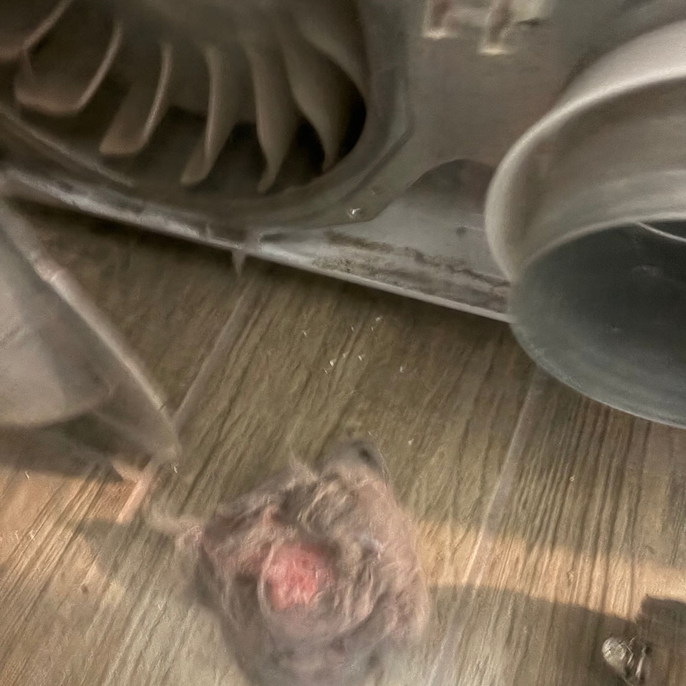 Drum not turning